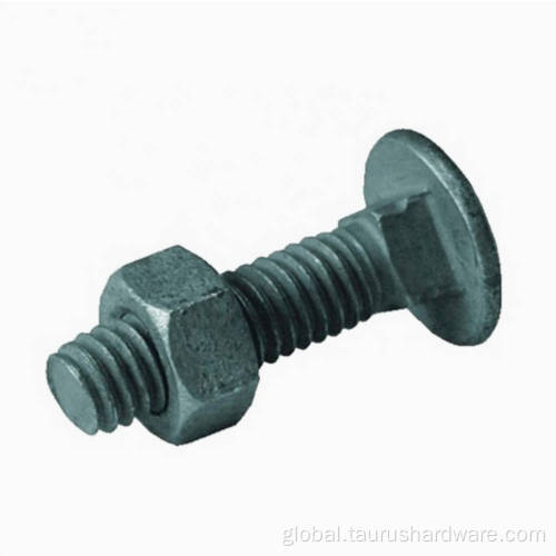 Bolts Carbon Steel Grade 8.8 Carriage Bolts and Nuts Manufactory